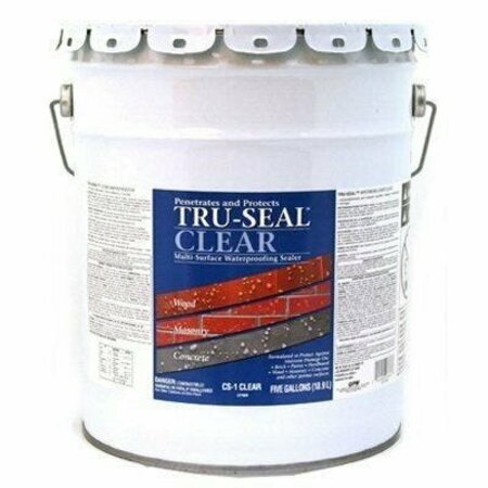 TRUE VALUE TS 5GAL WTRProof Sealer CS1-5G